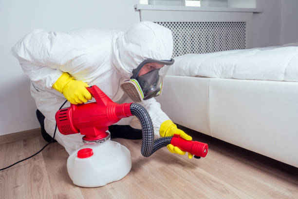 Flea Control Services in East Whittier, CA