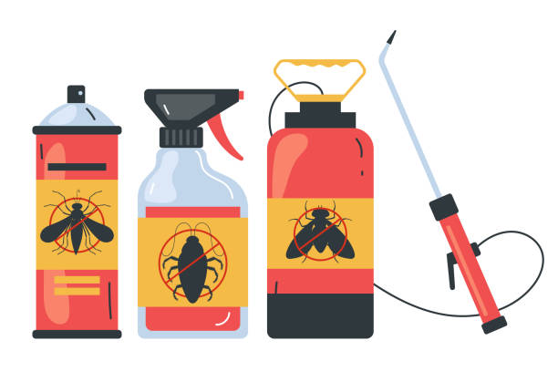 Best Wasp Removal Services  in East Whittier, CA